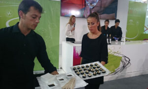 Sushi y Fino Andalucía Sabor