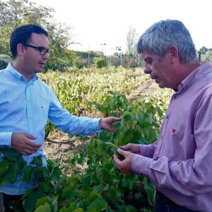 Bodegas Robles visita Paco Morales