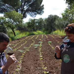 Visita a Bioalgamasilla.