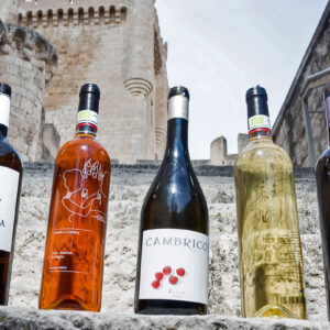 II Jornadas Técnicas Internacionales de Sumilleria de Castilla y León