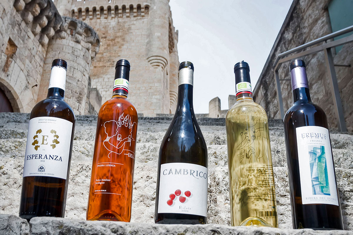 Los vinos generosos ecológicos en las II Jornadas Internacionales de Sumillería de Castilla y León