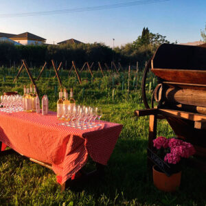 Patios de Bodega / Bodegas Robles