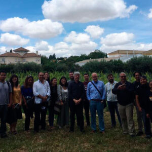 Máster en Estrategias para el Desarrollo Rural y Territorial