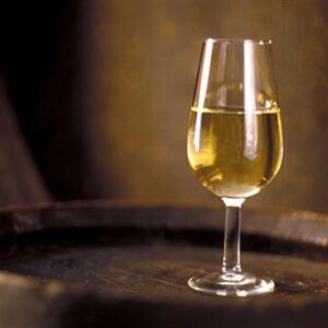 como se elabora un vino fino