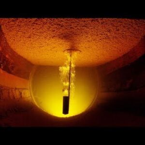 crianza biologica del vino como se hace