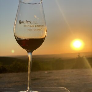 como se elabora el vino oloroso