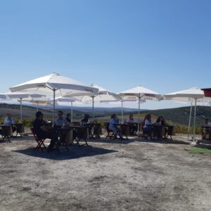 Consume ecológico en la Campiña Sur