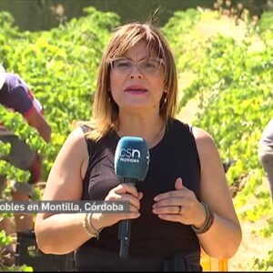 Noticias 2 Córdoba. / Canal Sur