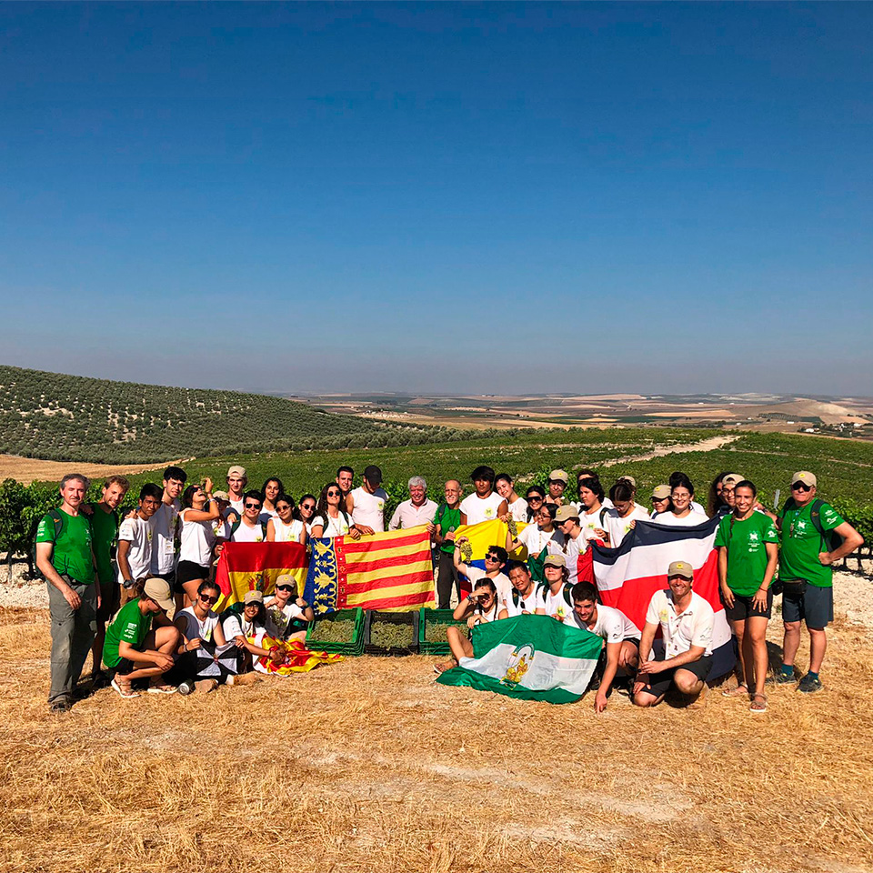 Visita del Proyecto Vuelta al Mundo a nuestro viñedo ecológico en Santaella