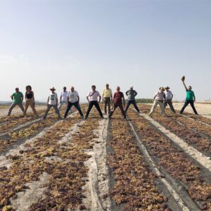 Encuentro Savia, / La pasera, Santaella